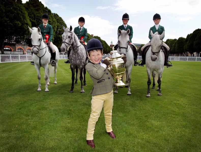 The Irish Horse: It's Showtime at Dublin for 2015