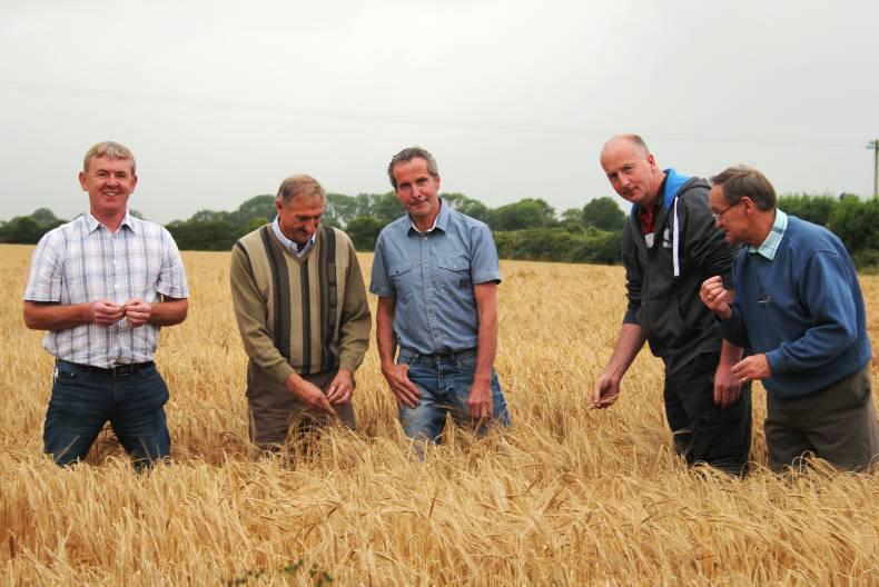 De Courcey Harvest Day recreates a century of change