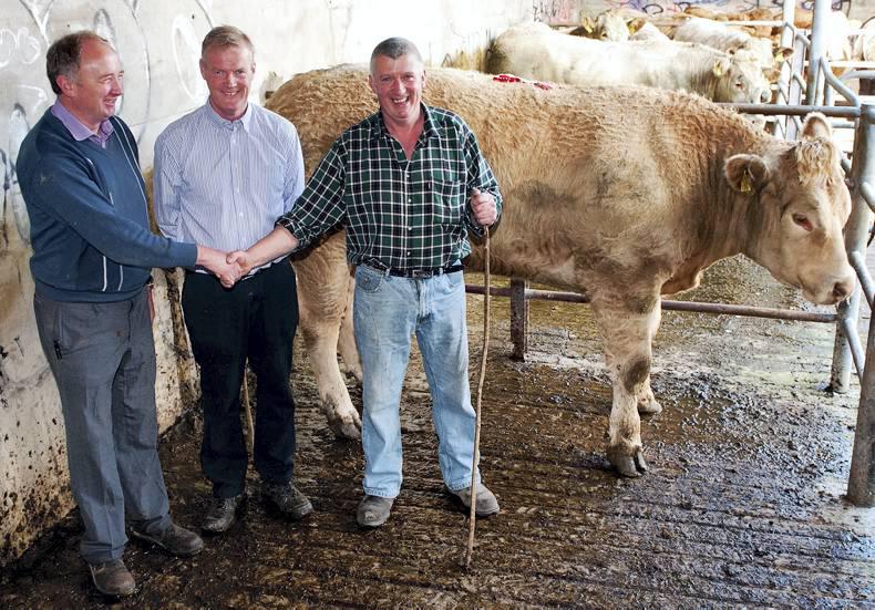 Aldi gets planning permission to raze North Clare mart