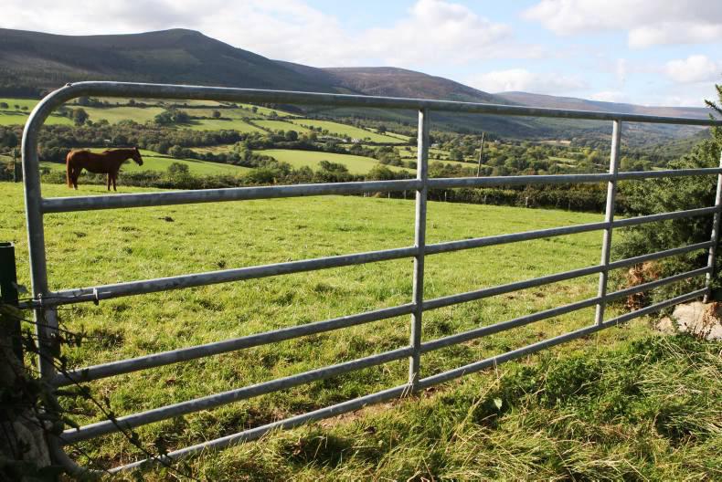 Department rejects scheme proposals for 'forgotten farmers'