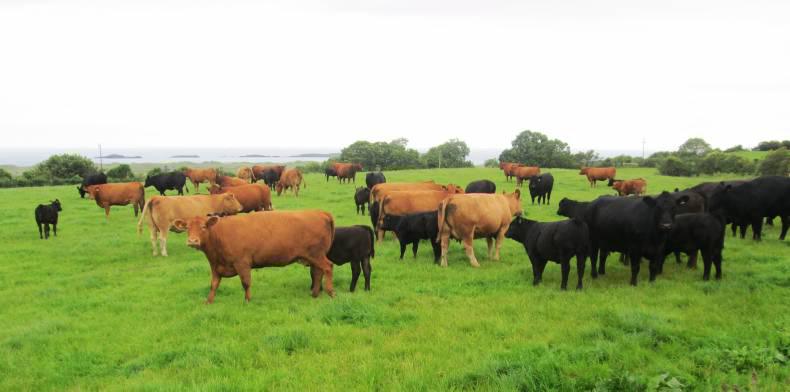 Rain takes its toll in the west