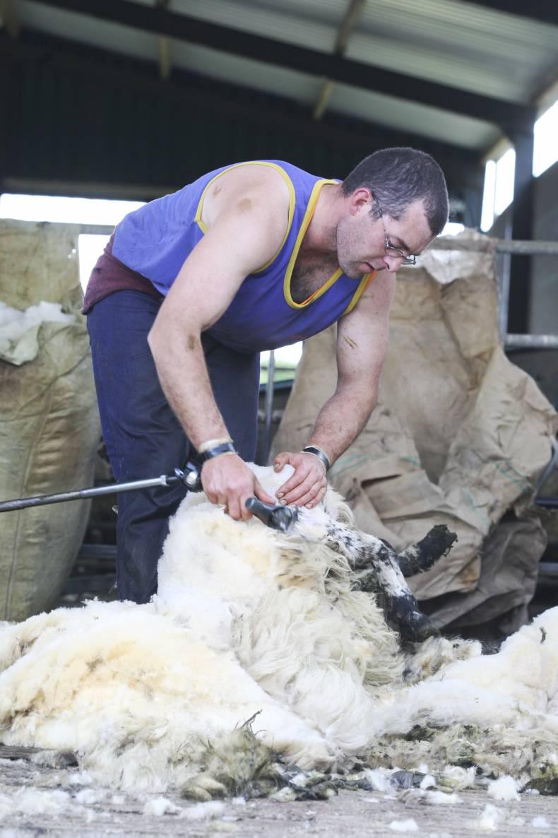 In brief Sheep shearing record and new grant approved penning