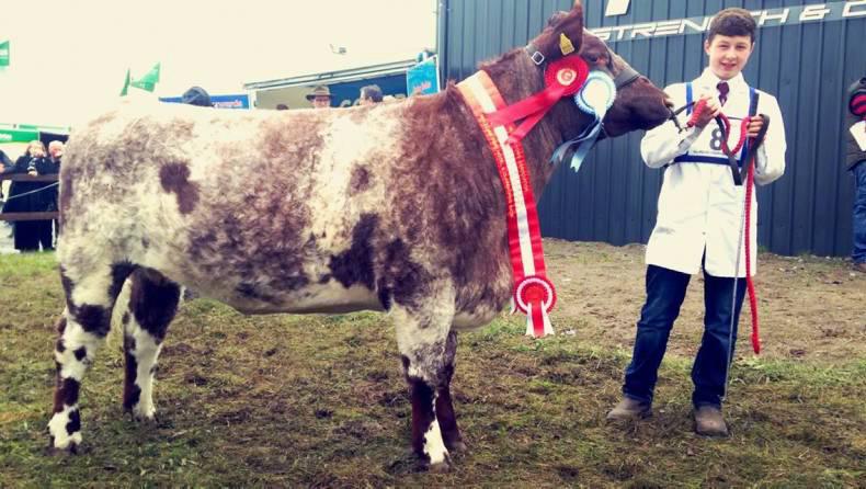 Mohill Gemma wins All-Ireland for the Craig family at Claremorris
