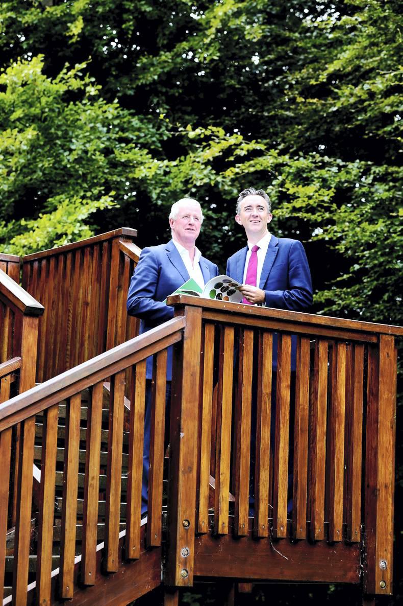 Positive performance as Coillte publishes annual results for 2014