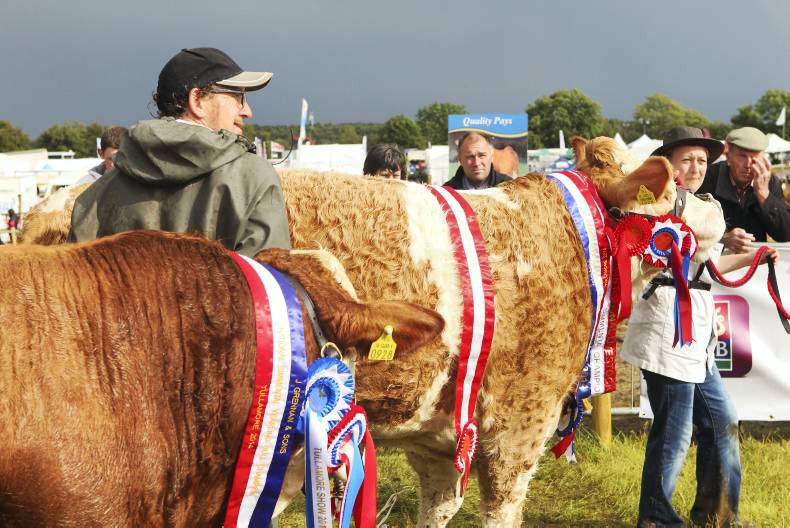 Your chance to judge at the Tullamore Show
