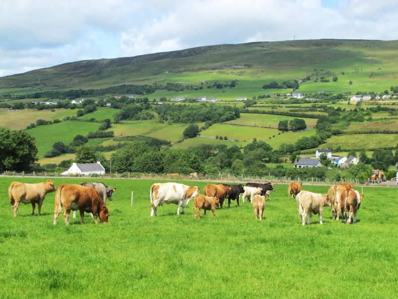 BETTER Farm: On the ground with James Strain