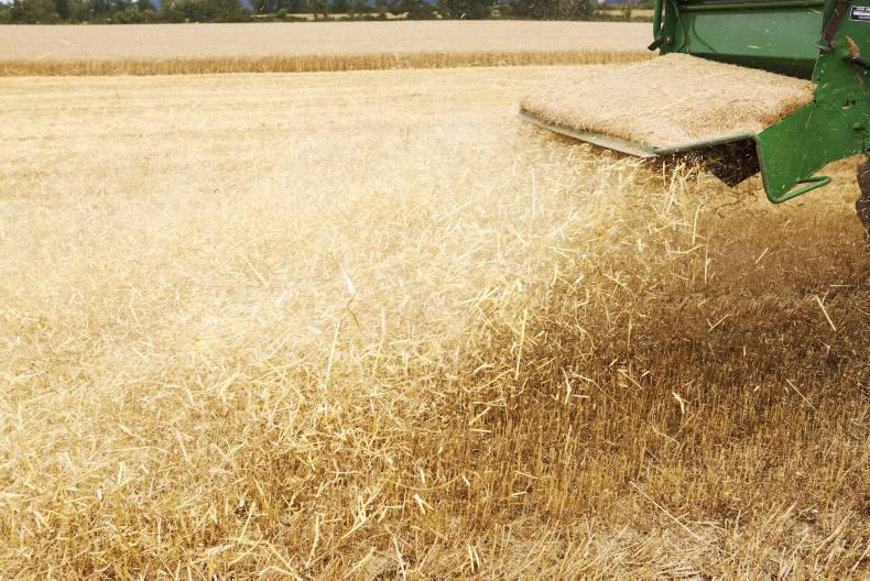 Price slide continues but local demand is now evident