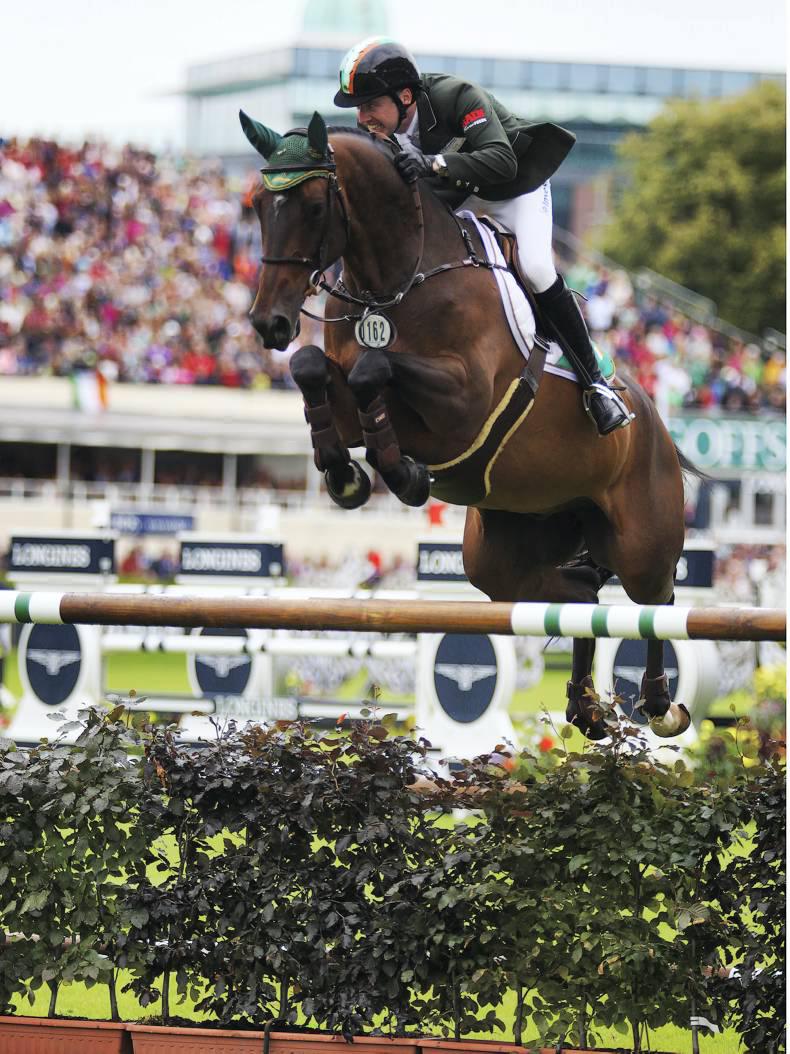 The Irish Horse: Ireland scores 10 international wins