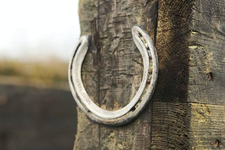 Breeders rewarded with ultra competitive three-year-old performance class