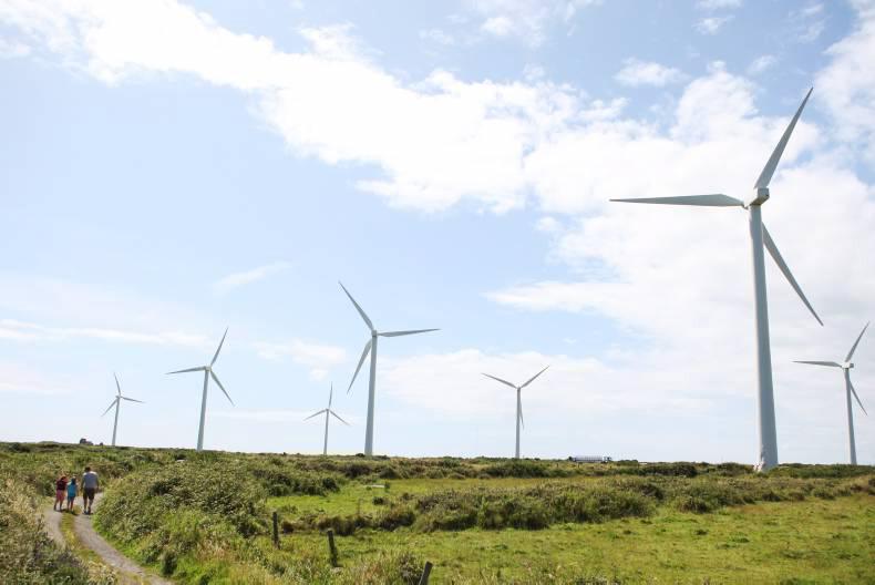 Colm McCarthy:  Subsidies to renewable energy producers