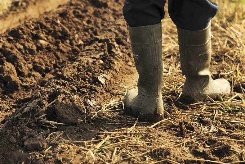 Summer photo competition: From where I farm 
