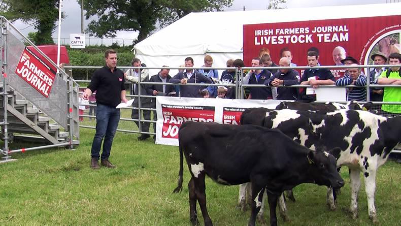 Watch: Tullamore Show dairy calf management demonstration