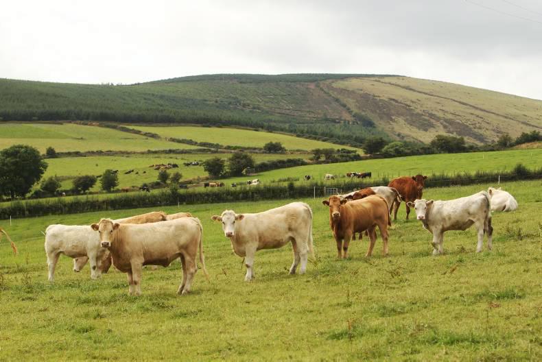 20,000 farmers to miss out on September ANC payment 