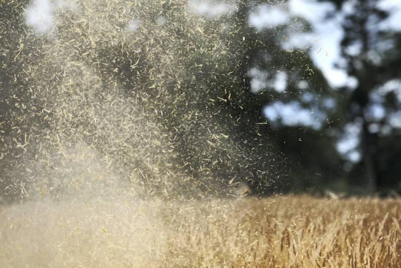 Harvest in full swing and yields appear to be holding good