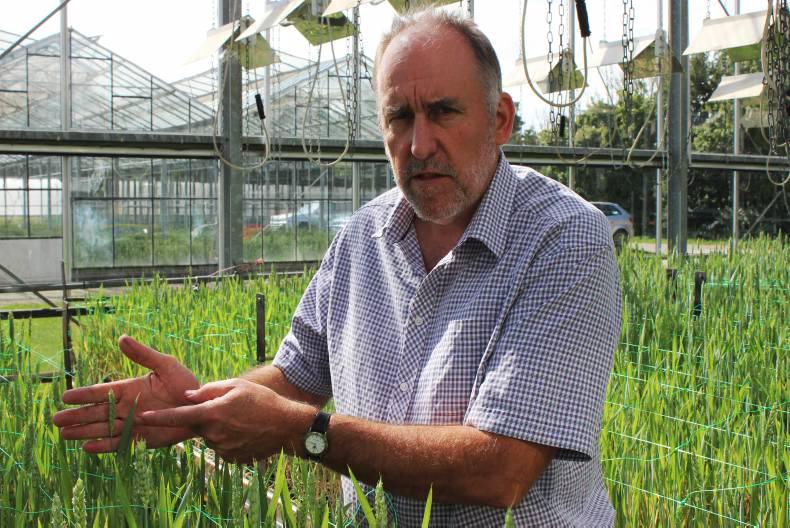 Plant breeding - the lifeblood of crop production