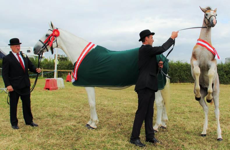 August All Ireland champions on the ISA scene