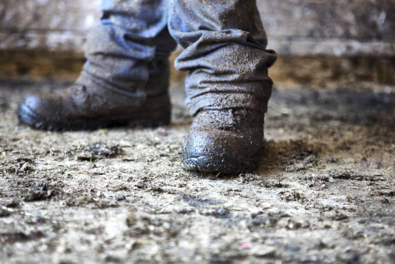 Mountbellew to hold Cert in Agriculture exam for this coming year