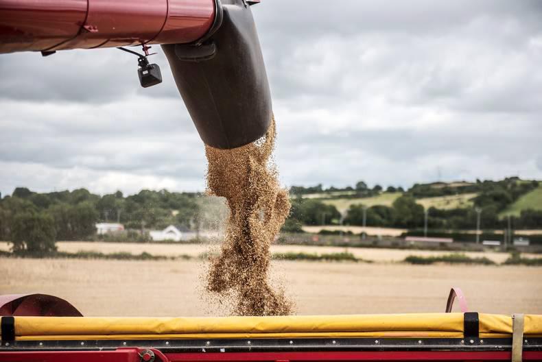 Good yields continue for spring barley and winter wheat