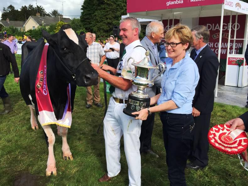 Watch: Diageo Baileys Champion Dairy Cow 2015 brings sunshine to Virginia Show 