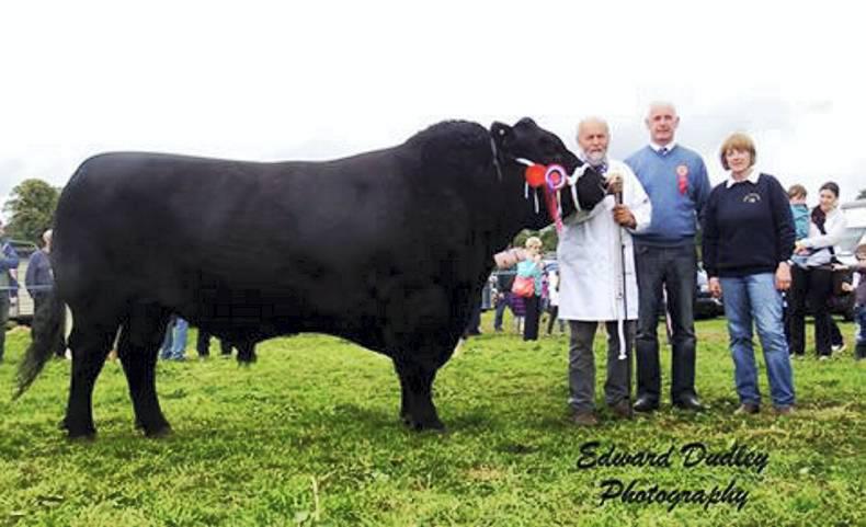 Aberdeen Angus claims inter-breed title at Bansha