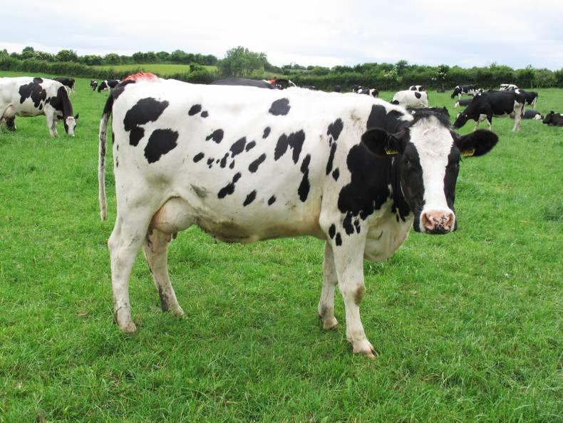 Should you feed meal this autumn?