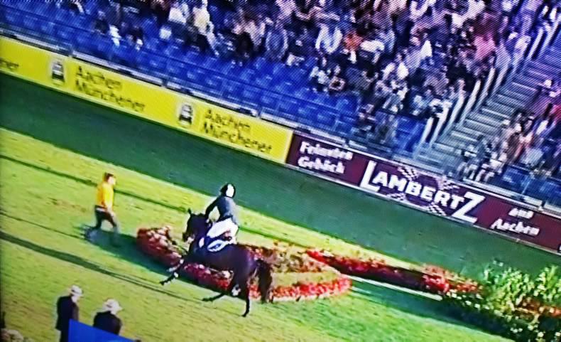 The Irish Horse: HSI to leave `no stone unturned' over Aachen