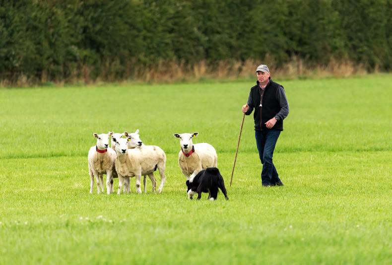 Building towards breeding season