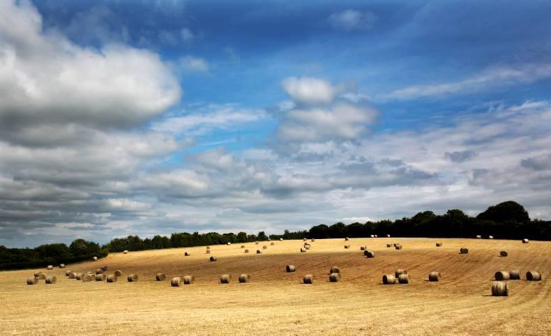 Generally dry weather for the week ahead with scattered showers 