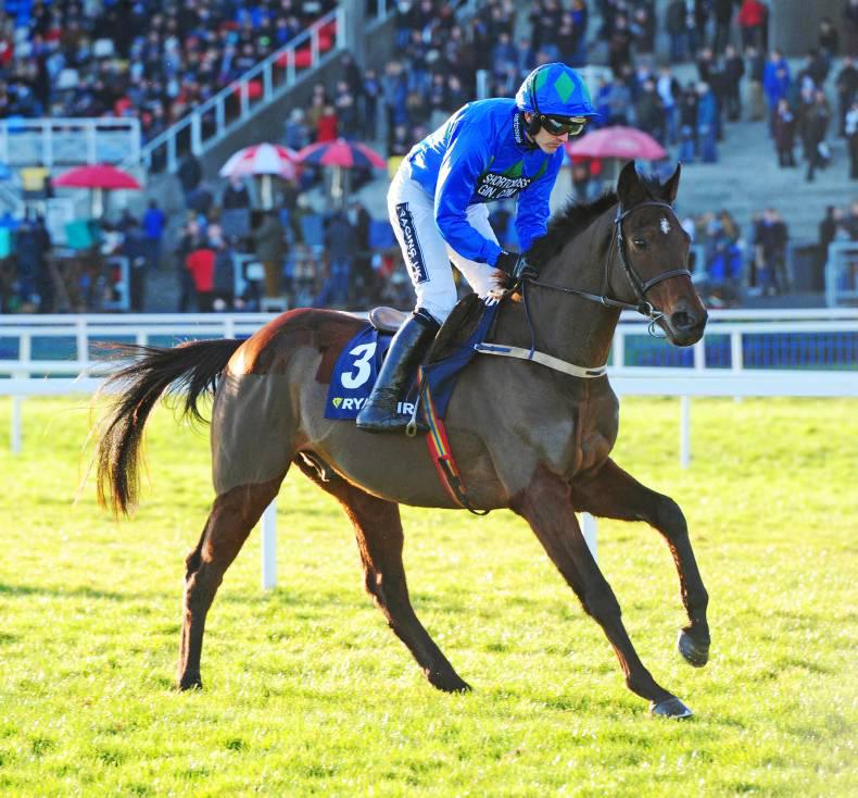 Five champion hurdlers on display