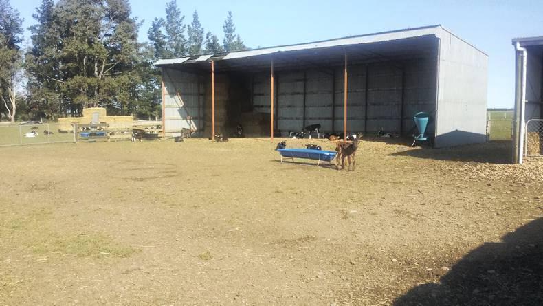 The importance of delegating while managing a farm