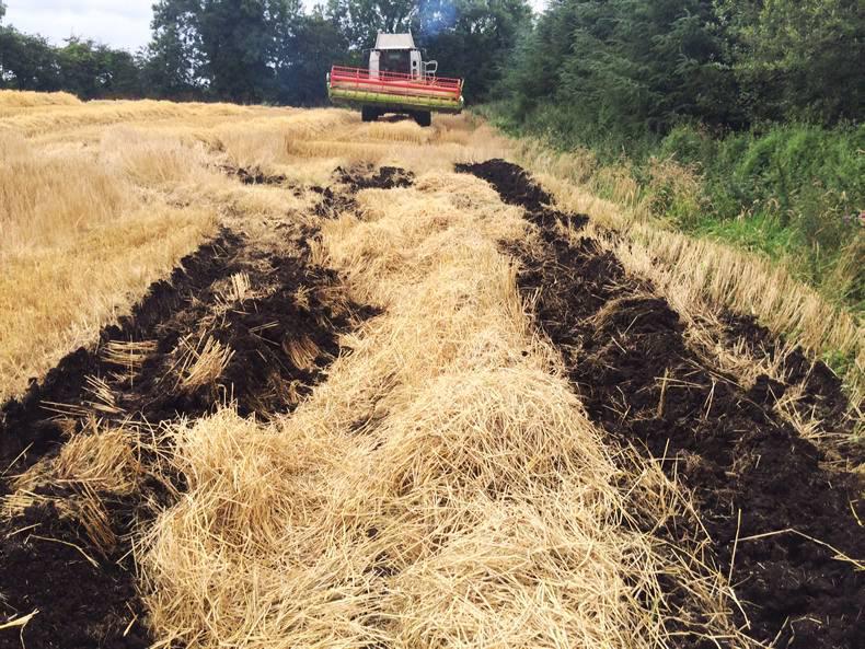Yields hold as harvest gets going again