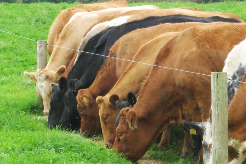 AIM data shows tightness in supplies