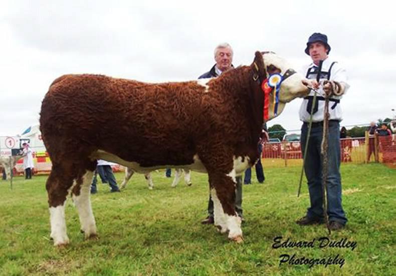 Absolutely Fabulous reigns supreme at Clonaslee Show