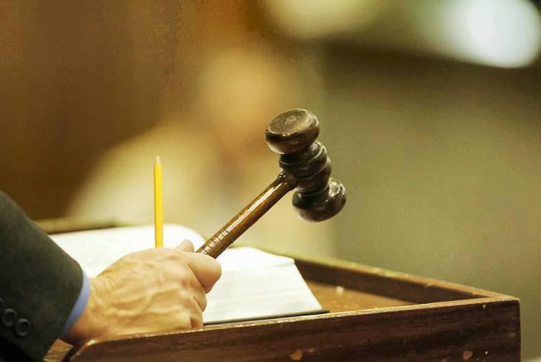 Sale-topping foal fetches €22,000