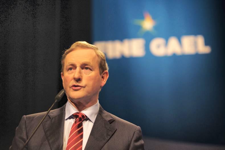 Suckler cow numbers must be maintained – An Taoiseach 
