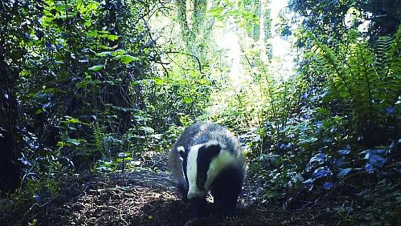 New shadow agriculture secretary in Britain