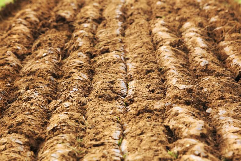 The Irish Farmers Journal launches the new Ploughing 2015 app