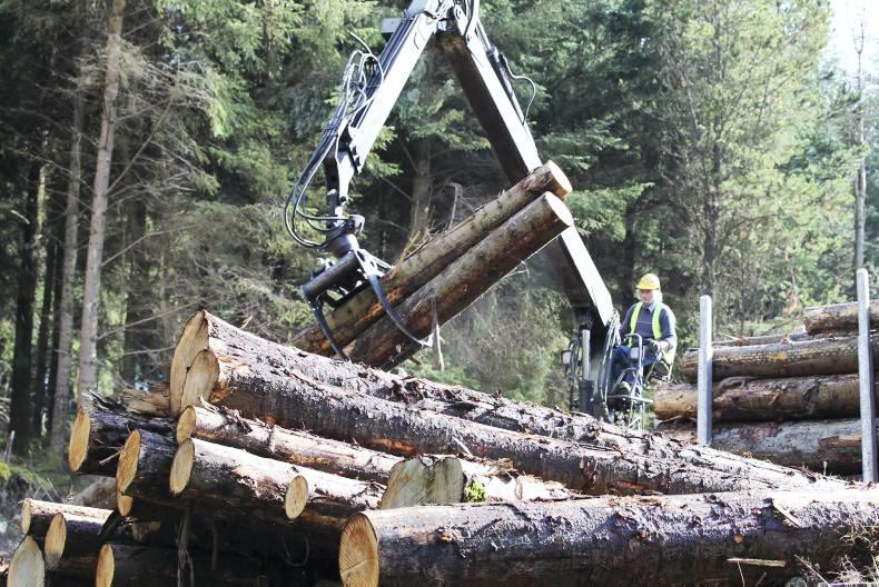 Importance of mobilising the Irish timber resource 30 September 2015 Premium