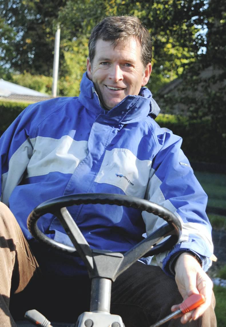 Mullingar to host Connemara sale