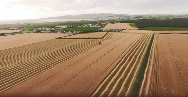 Watch: overhead views of corn harvesting in Co Kerry