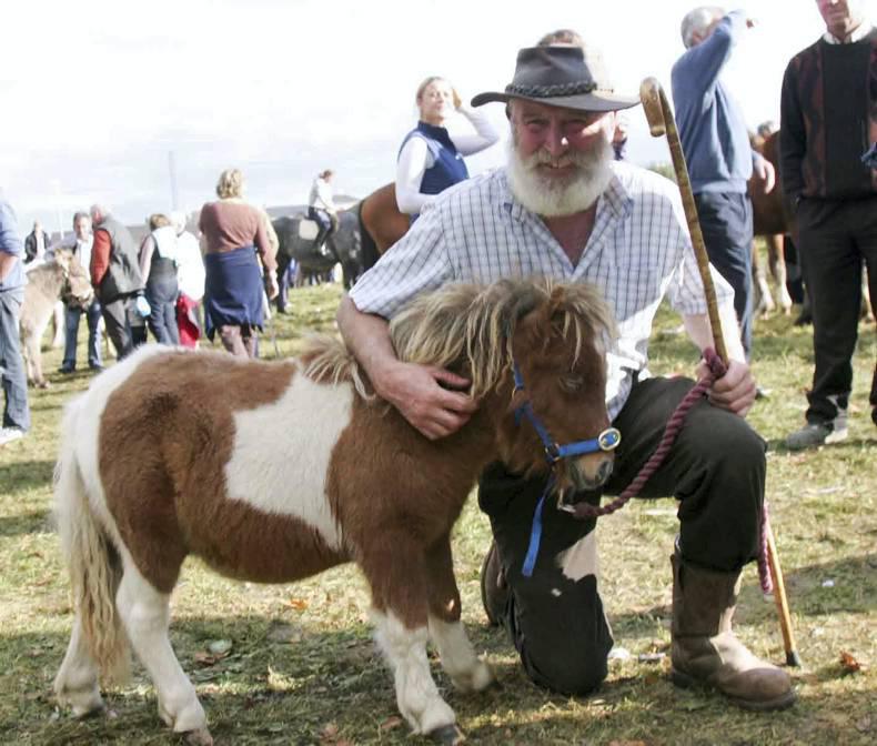 Ballinasloe Horse Fair and Festival 