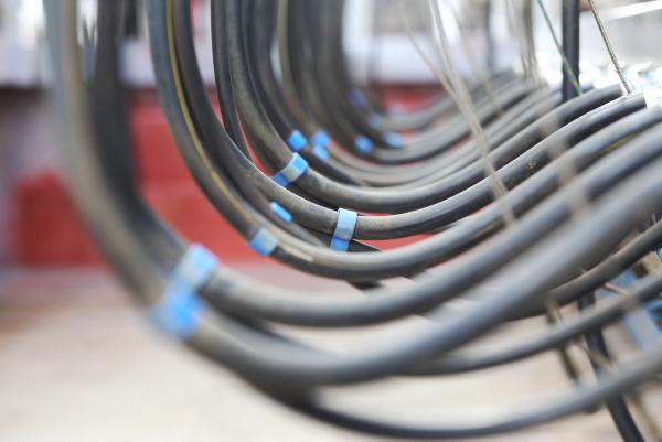 Global dairy market - green shoots?