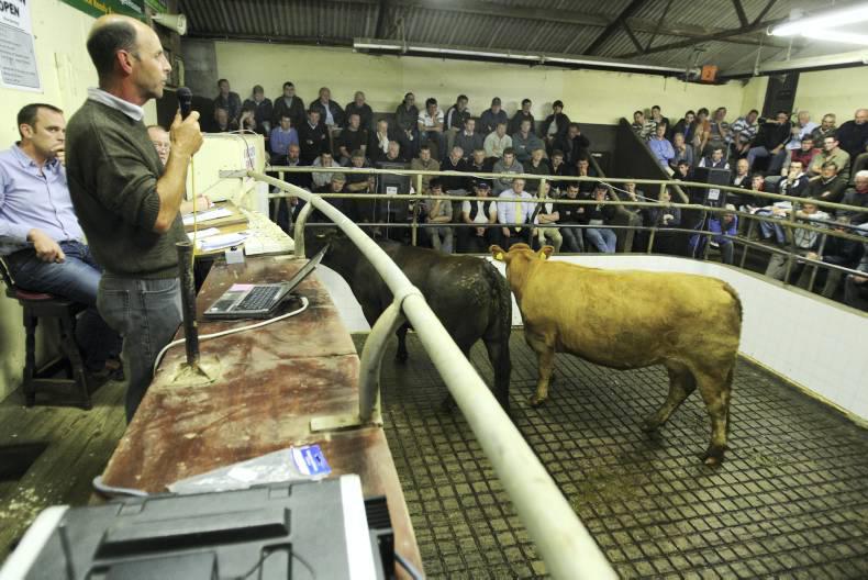 Suckler and beef information seminars in the west