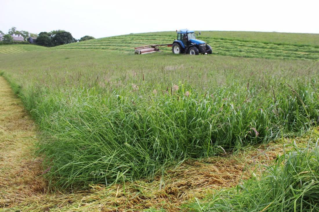 Euro-sterling rate down 6%
