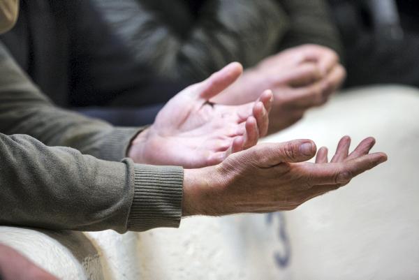 Strong trade at Carrigallen bull sale