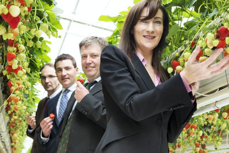 Nuffield Scholars announced   