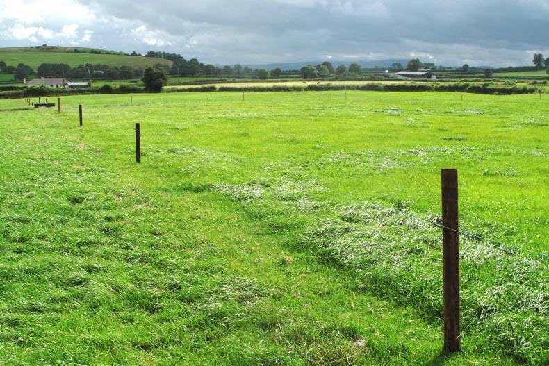 Net subsidies account for over half of ag income at State level in 2014