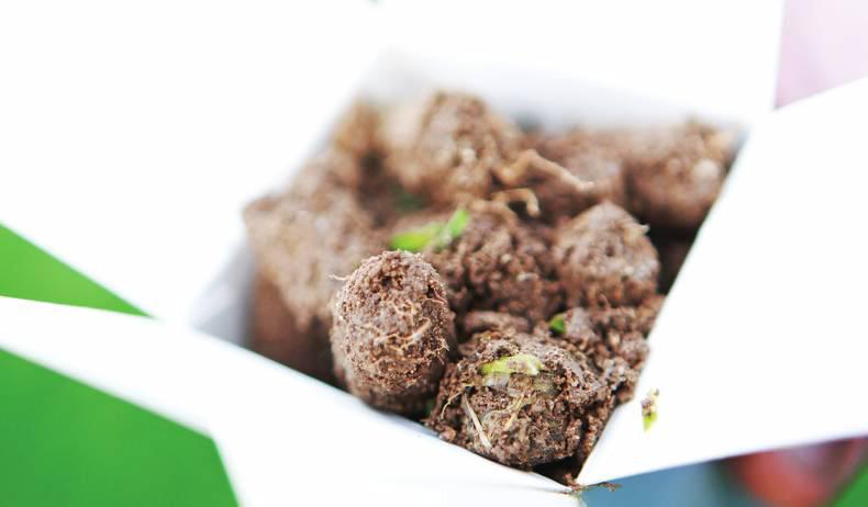 Dairy Know-How: Autumn soil sampling