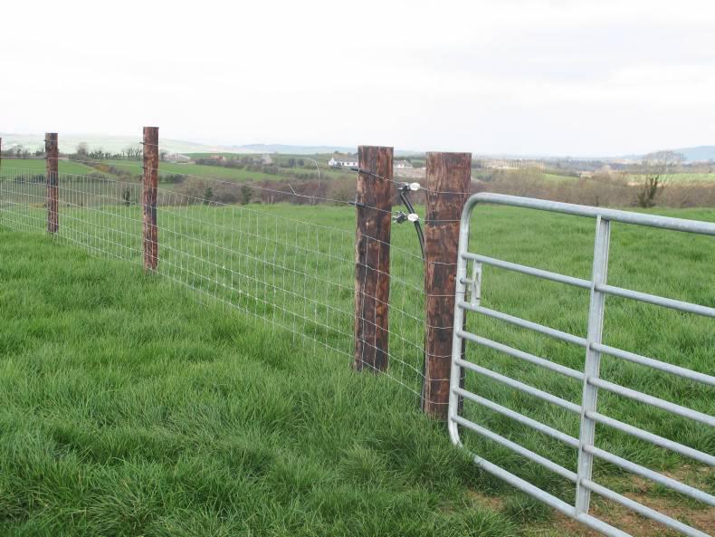 Sheep fencing included in TAMS II budget allocation Free