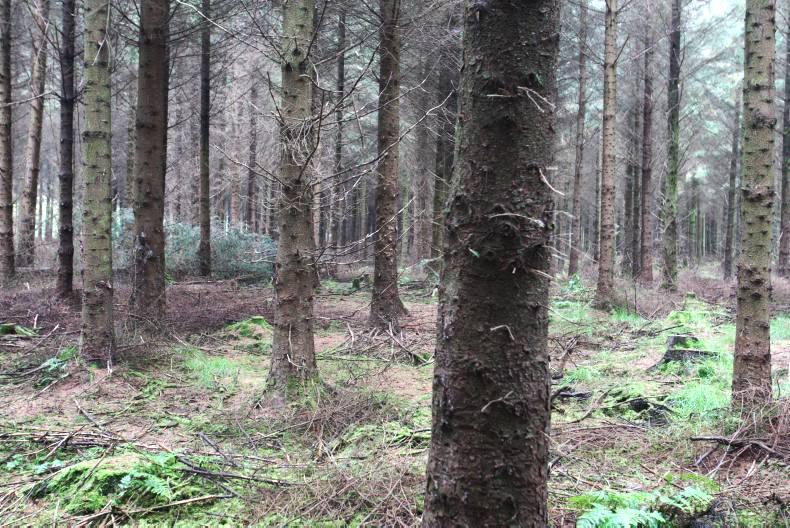 Succession planning for forestry land